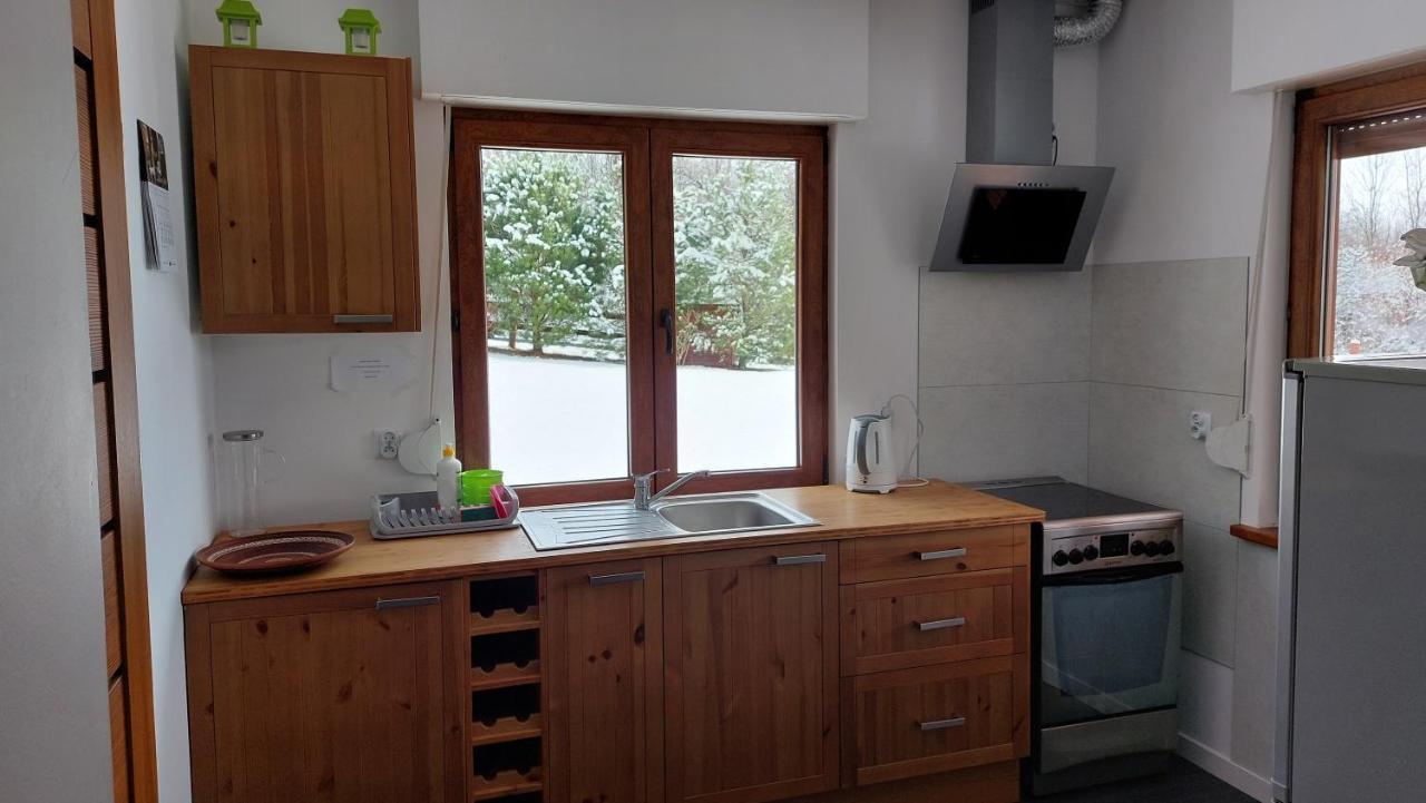 Dom Nad Dolina Sanu Villa Ruszelczyce Dış mekan fotoğraf