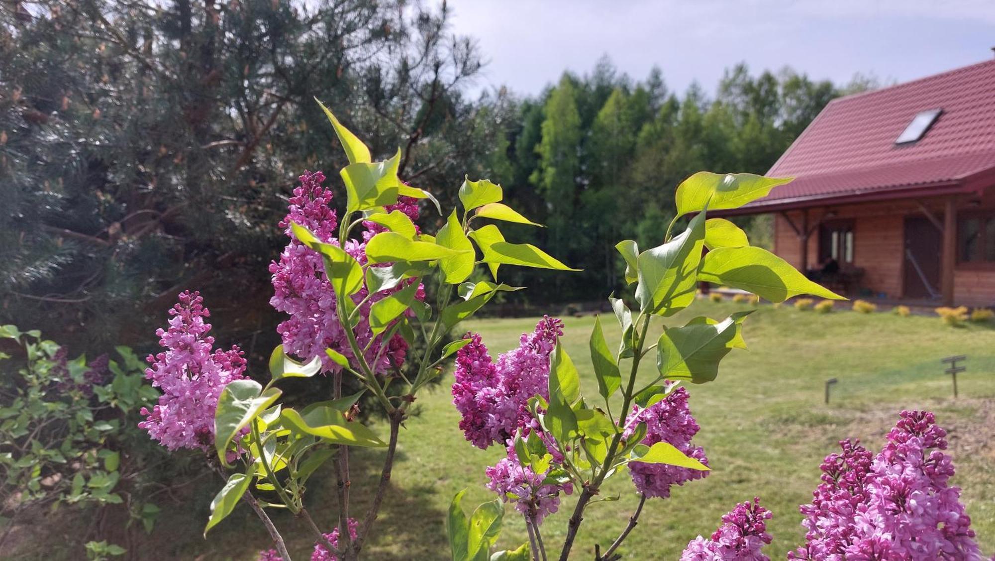 Dom Nad Dolina Sanu Villa Ruszelczyce Dış mekan fotoğraf