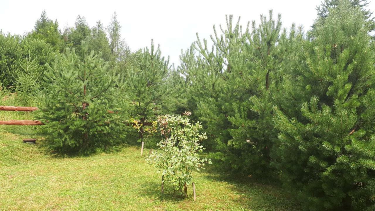 Dom Nad Dolina Sanu Villa Ruszelczyce Dış mekan fotoğraf